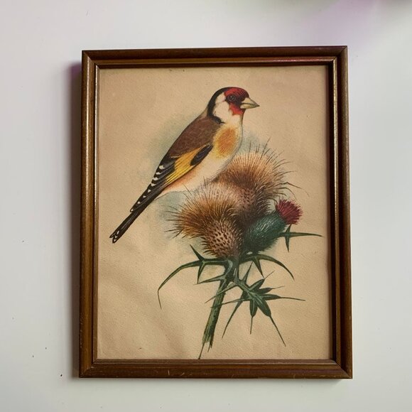 Vintage Framed Bird Book Plates - Picture 6 of 9